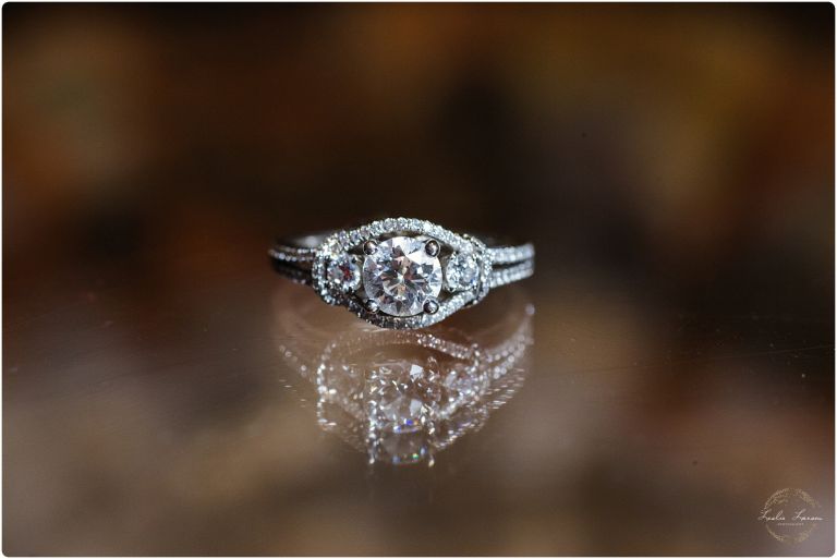 science-museum-of-mn-engagement-photography-15