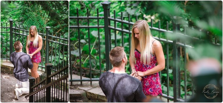 minihaha falls surprise proposal 1