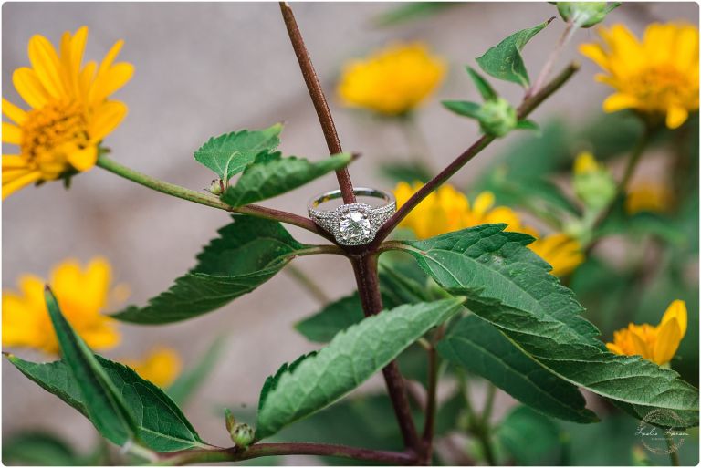 minihaha falls surprise proposal 13