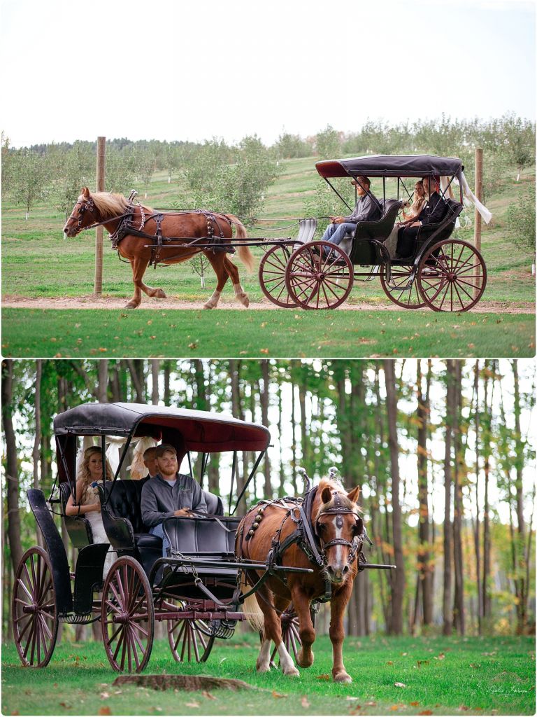Dixon apple orchard wedding leslie larson photography 11