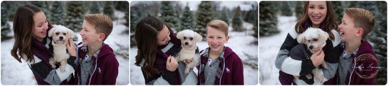 tree farm christmas photos leslie lasron photography 5